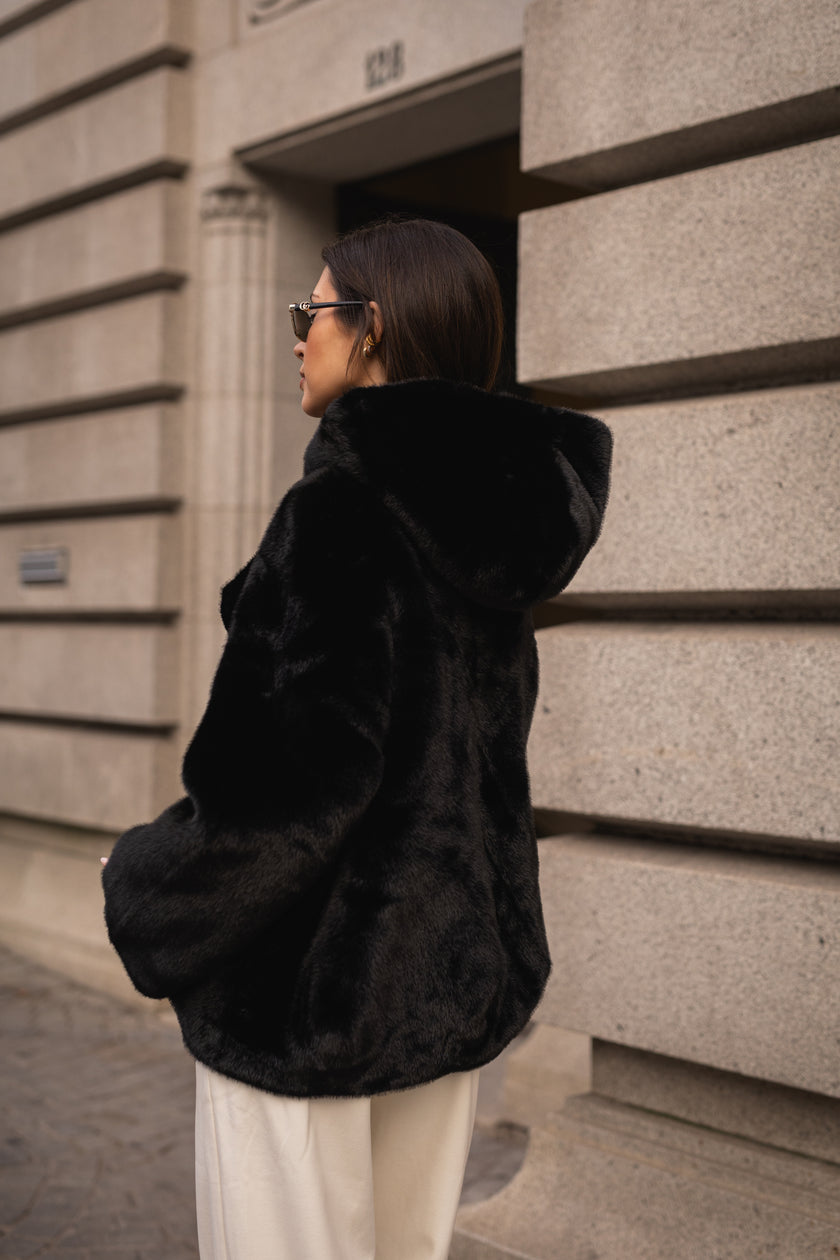 Vilnius Coat